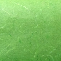 Strohseide grasgrün 50x70cm